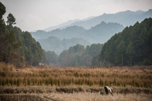 sikkim.ch Photos