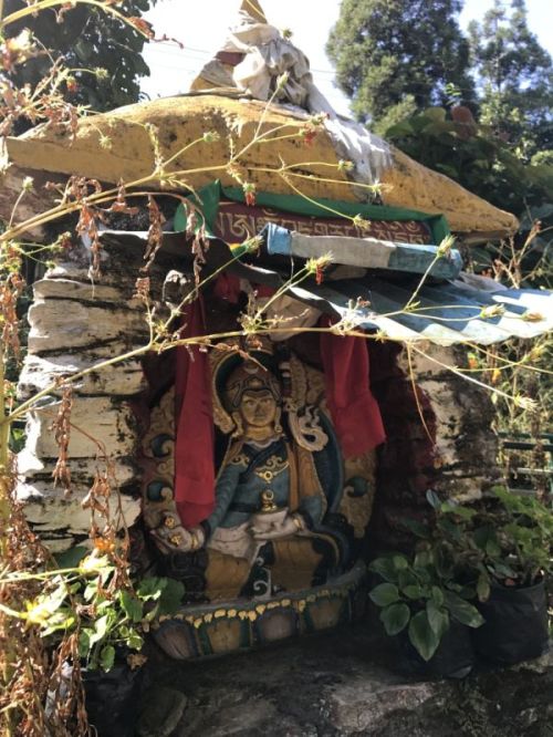 sikkim.ch Photos