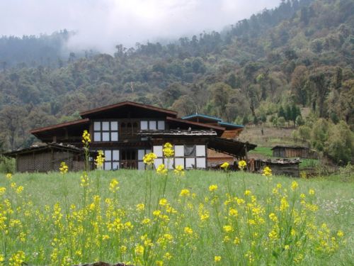 sikkim.ch Photos