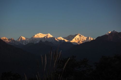 sikkim.ch Photos