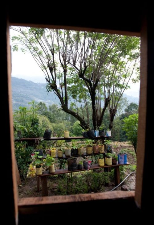 sikkim.ch Photos