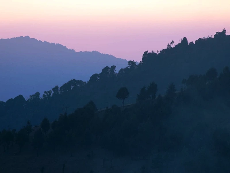 Untouched tropical and subtropical rainforests and cloud forests