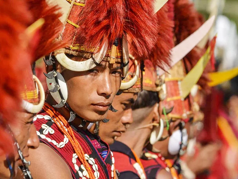 Hornbill Festival, Meghalaya and Kaziranga National Park
