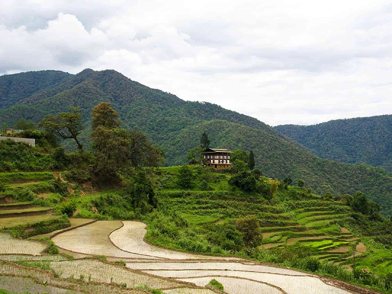 Snow Man Laya Trek – trekking dream in Bhutan