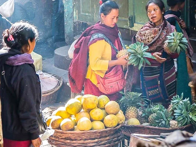 Women from Meghalaya select pineapples at the local market Image