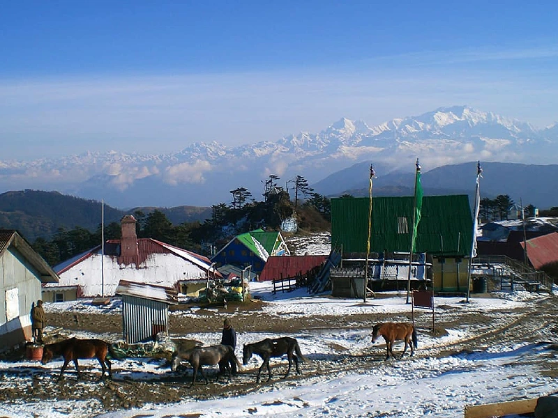 	
Darjeeling Sherpa Phalut trekking Image