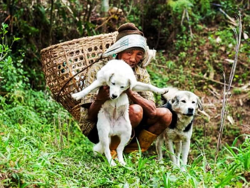 Authentic Sikkim