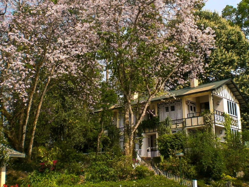 Kalimpong culture & hiking tour