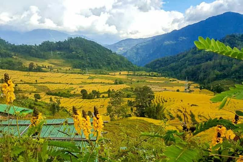 sikkim.ch | Nordostinidien und Sikkim Reisen - Bild zu Sikkim, der Norden