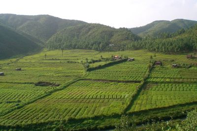 sikkim.ch | Nordostinidien und Sikkim Reisen - Bild zu Geschichte, Völker und Umwelt von Meghalaya