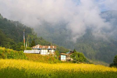 sikkim.ch | Nordostinidien und Sikkim Reisen - Bild zu Sikkim, der Osten
