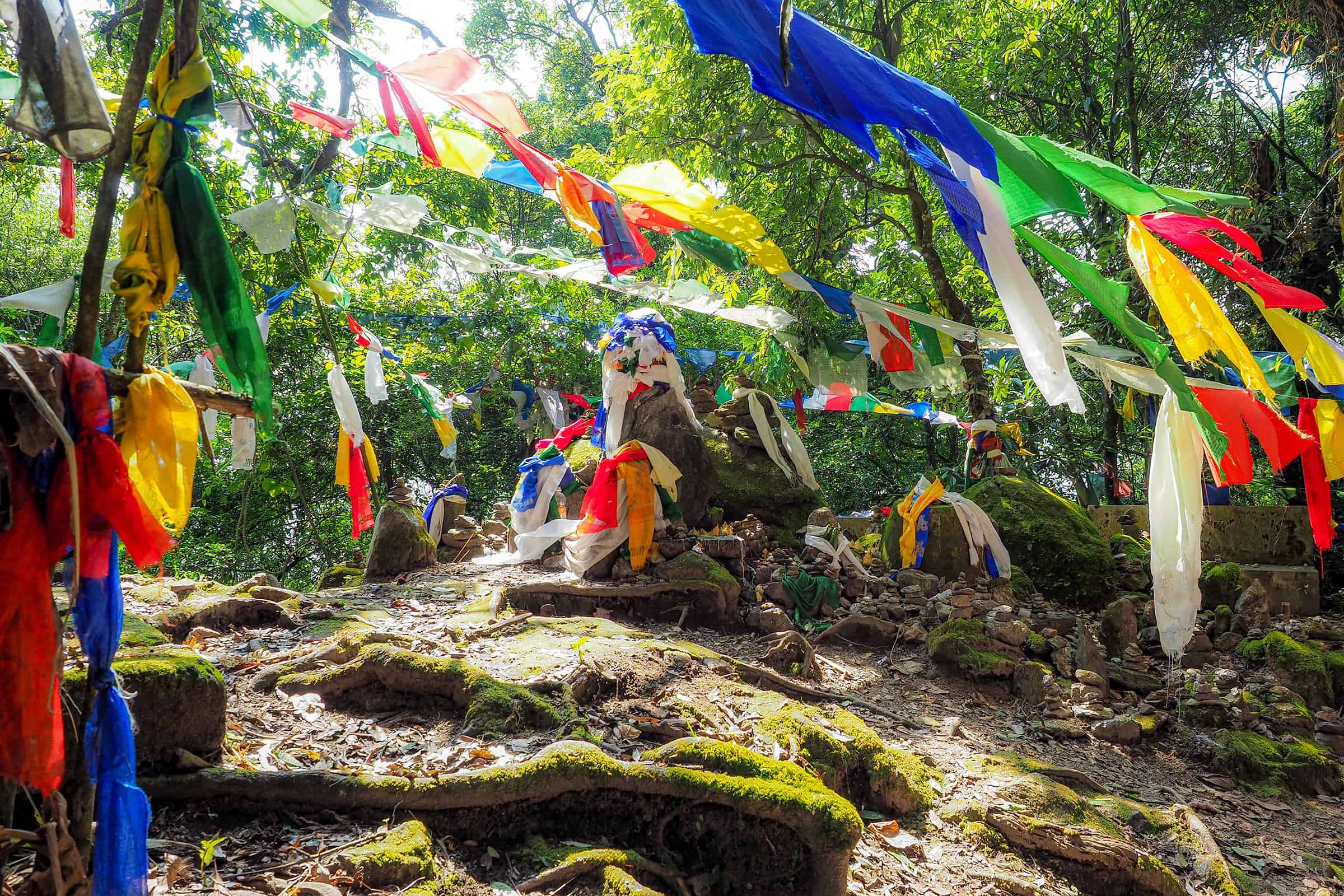 sikkim.ch | Nordostinidien und Sikkim Reisen - Bild zu Sikkim Höhenweg-Trekking