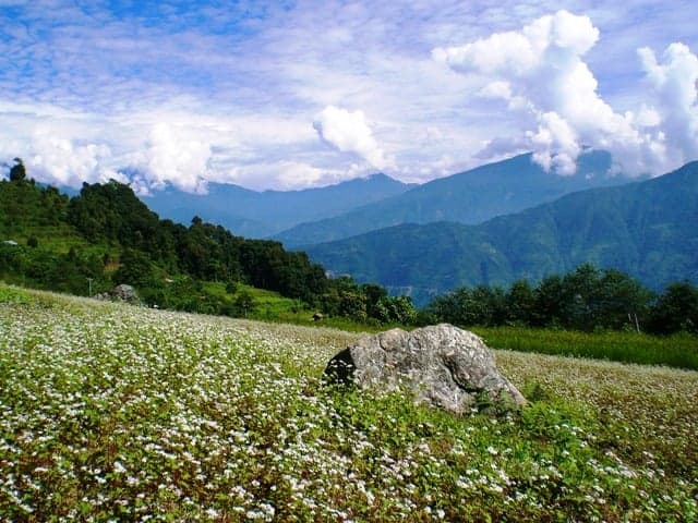 sikkim.ch | Nordostinidien und Sikkim Reisen - Bild zu Kommen Sie mit, auf eine aussergewöhnliche Reise durch Nord Indien!