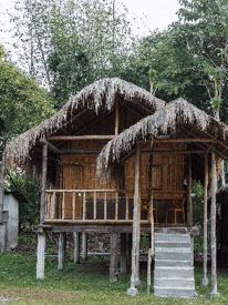 sikkim.ch | Nordostinidien und Sikkim Reisen - Bild zu Travel Info Discover Assam - Immerse yourself in cultural India!