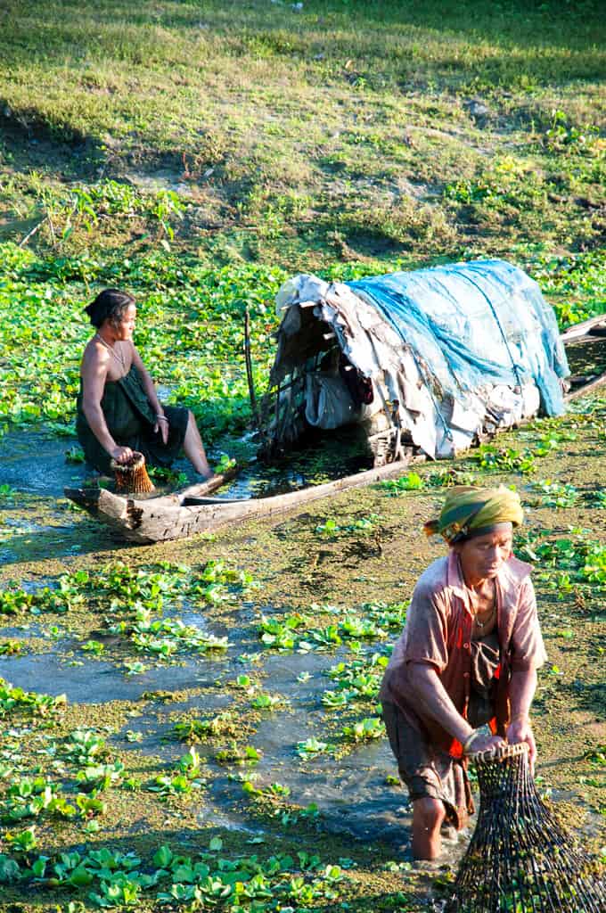sikkim.ch | Nordostinidien und Sikkim Reisen - Bild zu Geschichte, Völker und Umwelt von Assam